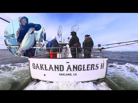 My first time fishing San Fransisco Bay with OAKLAND ANGLERS