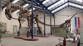 preview picture of video 'Museo Paleontologico Carmen Funes - Plaza Huincul'