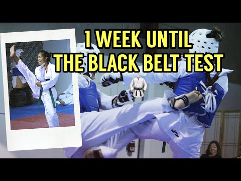 Preparing For My Black Belt Test | Taekwondo Martial Arts
