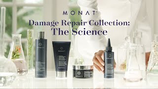 The Science Behind Damage Repair Collection | MONAT Haircare