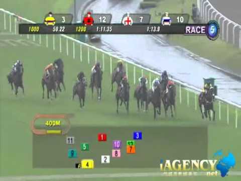 SINGAPORE RACE 17/11/2013 RACE 5 - iAgencyNet.com