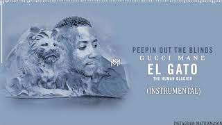 Gucci Mane - Peepin Out The Blinds (Instrumental)