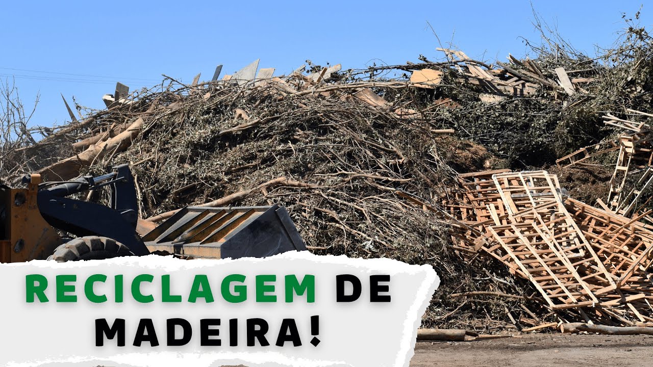 COOPERATIVA QUE RECICLA MADEIRA, VOCÊ JÁ VIU? reciclagem