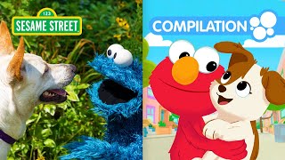 Sesame Street: Elmo&#39;s Pets Compilation | 90 Minutes