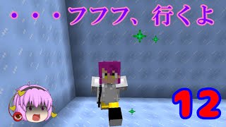 [マインクラフト]ゆっくりがFairyTaleの世界を駆け巡る part12　～宿敵～