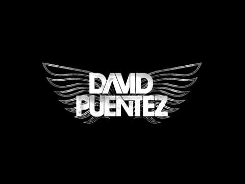 David Puentez vs. Fedde Le Grand & Mr. V.  - Wow & Forth (David Puentez Mash Bootique)