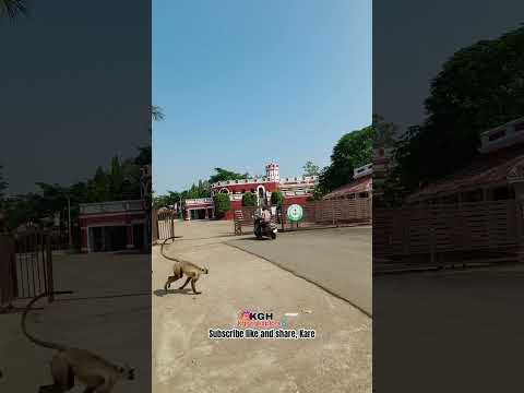 खैरागढ़ संगीत विश्वविद्यालय का इतिहास #khairagarh#viral#Kghcgexplore #explore#cgexplore#rajnandgaon