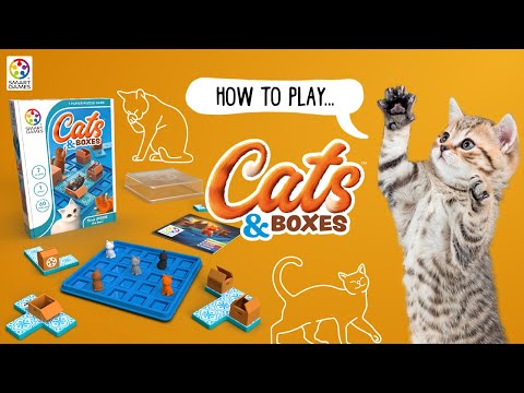 How To Play Cats & Boxes - SmartGames