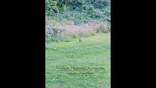 Download lagu I hope heaven is warm when i enter ( album) mp3