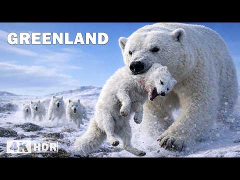 Greenland: The Struggle for Survival on the Coldest Island