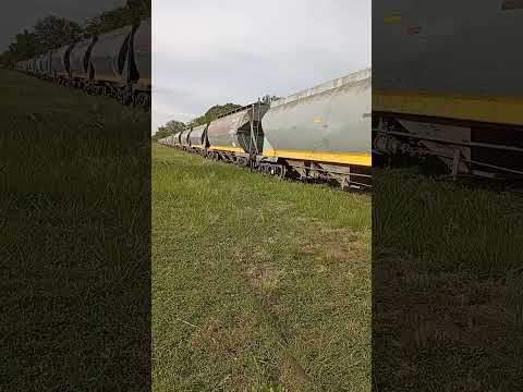 tren fepsa pasando por tres lomas prov de bs as
