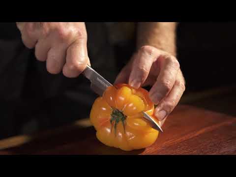 download lagu mp3 mp4 Chefs Companion Knives, download lagu Chefs Companion Knives gratis, unduh video klip Chefs Companion Knives