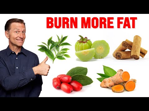 The Ultimate Fat Burning Guide Dr Berg s Webinar on Maximum Weight Loss