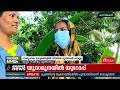 നീ വേറെയൊന്ന്വല്ല ഇങ്ങ് വാ വൈറലായി മ�