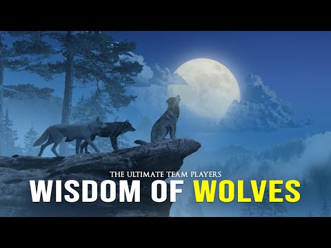 Wisdom Of The Wolves - Best Motivational Video