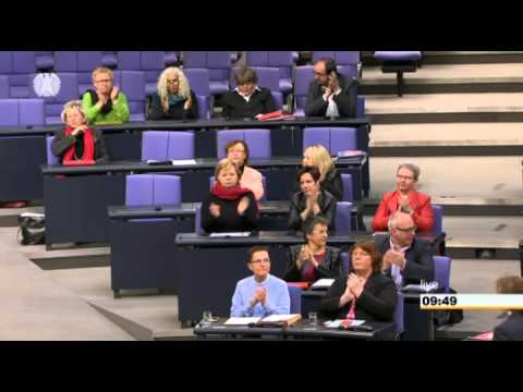 Alle Knochen und Gelenke von Katzen Millenium Neo Gelenke