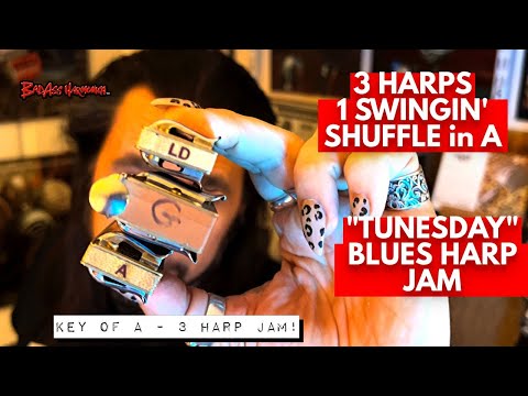 How To Not Suck but Swing on 3 Harps!🎵- Blues Harmonica Jam  - Blues Harp Licks  - Tunesday 96
