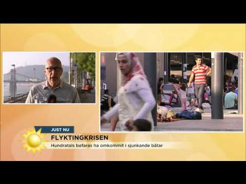 Stefan Borg om flyktingkrisen: "Ett mått på paniken" - Nyhetsmorgon (TV4)
