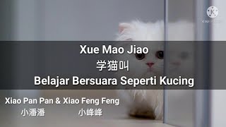 Download lagu 学猫叫 Xue Mao Jiao - Xiao Pan Pan & Xiao Feng Feng (Lirik & Terjemahan Indonesia) mp3 Download lagu 学猫叫 Xue Mao Jiao - Xiao Pan Pan & Xiao Feng Feng (Lirik & Terjemahan Indonesia) mp3
