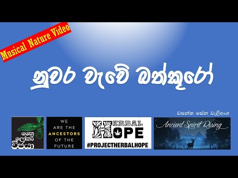 නුවරවැවේ බත්කූරෝ