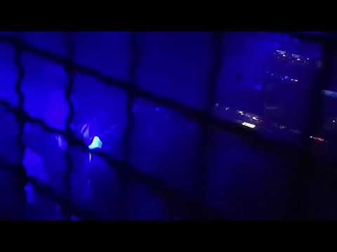 Adam X, Keepsakes w 999: Juerga, OTHK, Kacpa & Raev # 04.10.2019 # 999 # 4