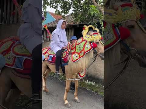 BEAUTIFUL LITTLE GIRL RIDING A RENGGONG HORSE #shorts