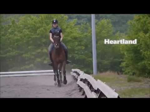 Heartland booktrailer, Før eller Senere