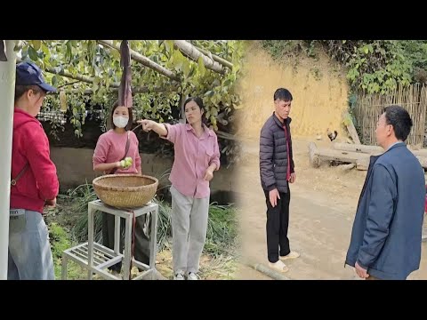 The creditor met the girl's father. The girl caused trouble while picking fruit.