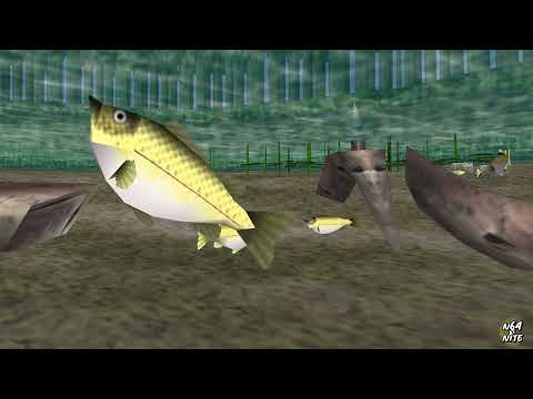 1 Hour of Fish Swimming Underwater in Ocarina of Time (Relaxing Ambiance)
