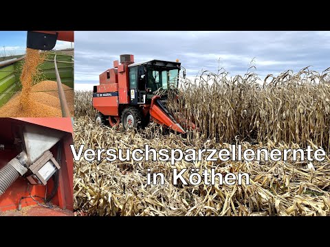 Frag Dr. Schröder - Körnermais Ernte - Versuchsparzellen in Köthen