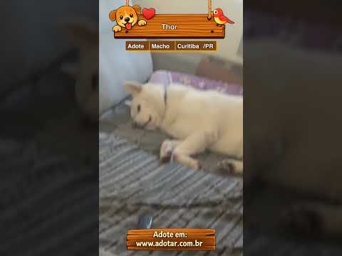 Vídeo de Thor
