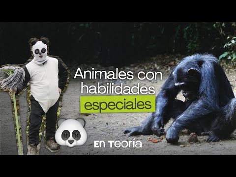 Animals with special abilities