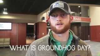 preview picture of video 'Bulldogs & Groundhogs'