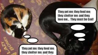 KatShortz !  10   - "God Only Knows" - Very Funny Cats &amp; Kittens!