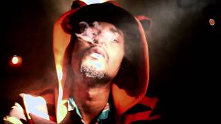 DANNY BROWN &quot;BLUNT AFTER BLUNT&quot; : BLOWHIPHOPTV.COM