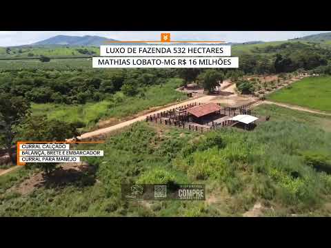 LUXO DE FAZENDA 532 HECTARES MATHIAS LOBATO-MG R$ 16 MILHÕES #gado #minasgerais #agro #luxo #fazenda