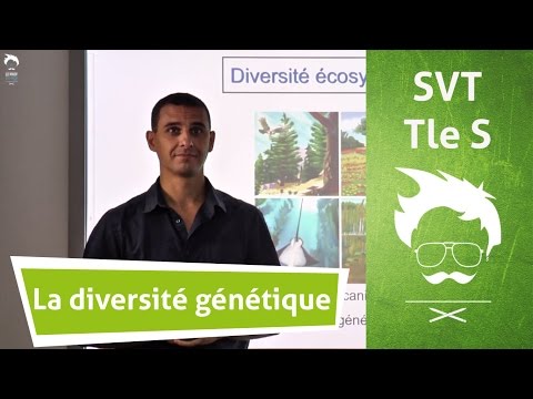 pourquoi la svt