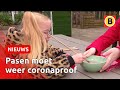 Naar de camping, een digitale paasmis en eieren zoeken in de dierentuin | Omroep Brabant