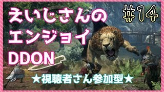 [DDON/女性実況] えいじさんのエンジョイDDON #14