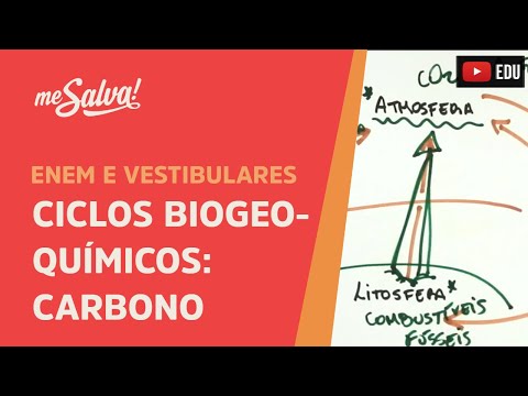 Me Salva! ECO26 - Ecologia - Ciclos biogeoquímicos: carbono