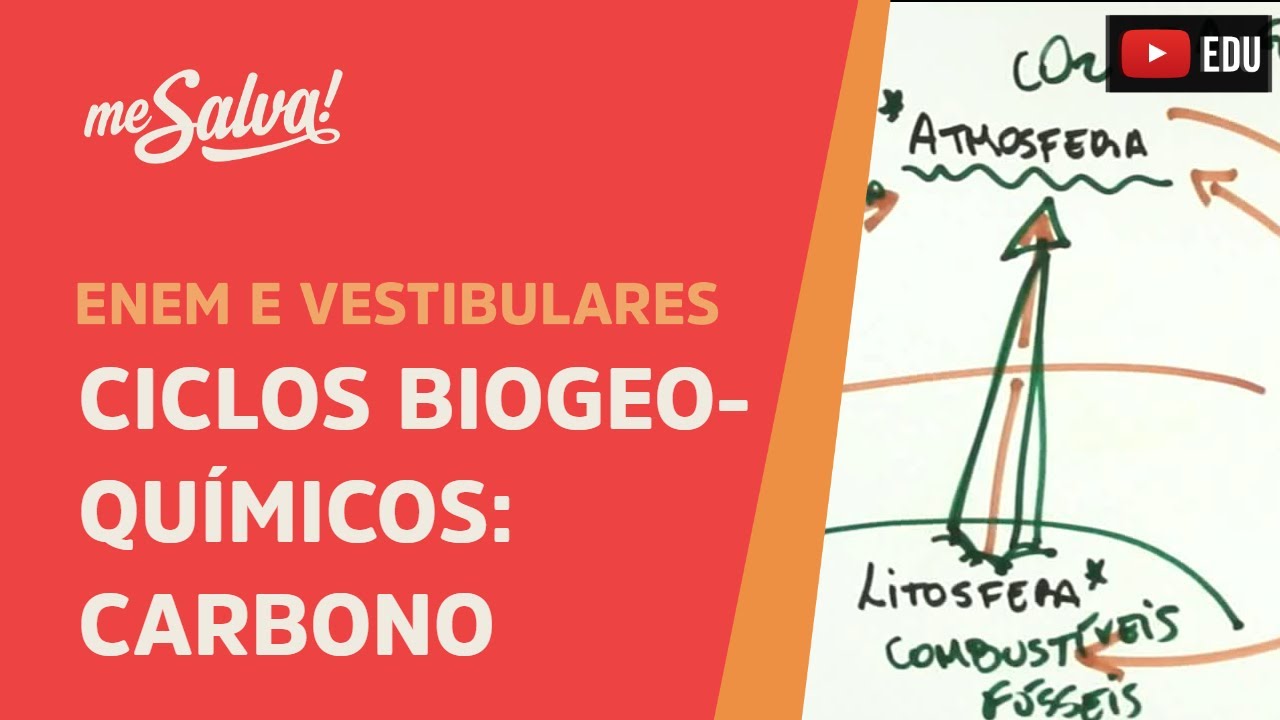 Me Salva! ECO26 - Ecologia - Ciclos biogeoquímicos: carbono