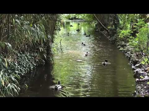 image : La découverte d un jardin royal : Cheverny