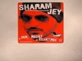 Sharam Jey - mr right (HQ) + mp3 download link