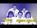 Grupo Bryndis - Perdiste Corazón (Visualizer)