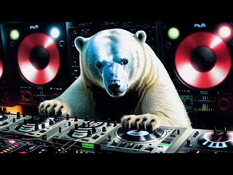 Polar Bear DJ Mix mixed by Nadja Lind (deep hypnotic house)
