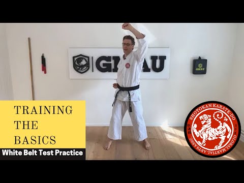 GMAU Shotokan Karate Live Class - Training the Basics Practice for the White Belt Test thumbnail