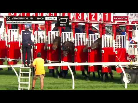 Underwood Stakes - Alligator Blood (Group 1 - 2022)