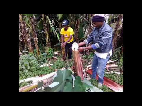 Aid 20 women producing 100% bio-pads in Cameroon