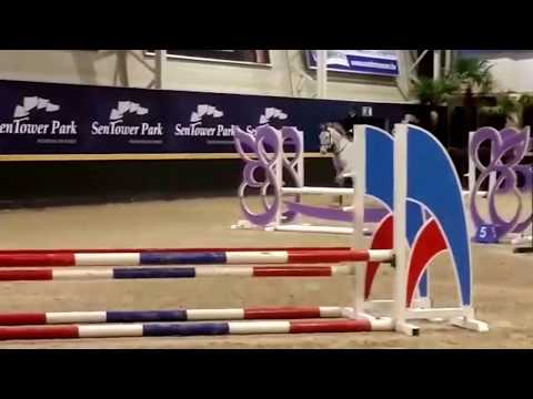 Camax l × Lancet II