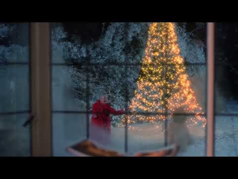 LED Christmas Tree for Flagpoles — Full Overview